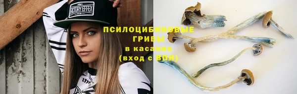 а пвп мука Абаза