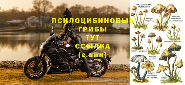 а пвп мука Абаза
